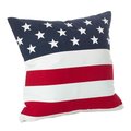 Saro Lifestyle SARO 0704P.M20S 20 in. American Flag Design Cotton Down Filled Throw Pillow  Multi Color 0704P.M20S